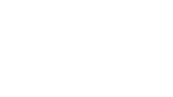 exton logo