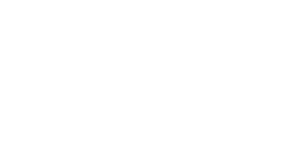 falcon eyes logo