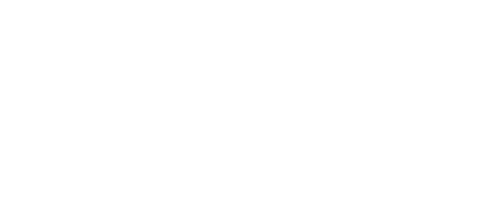 save the fox logo noa